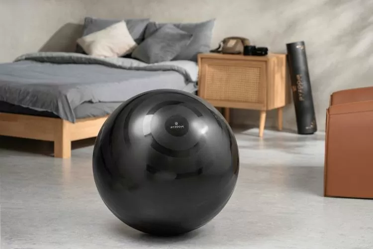 Byzoomfitness Gymball - black