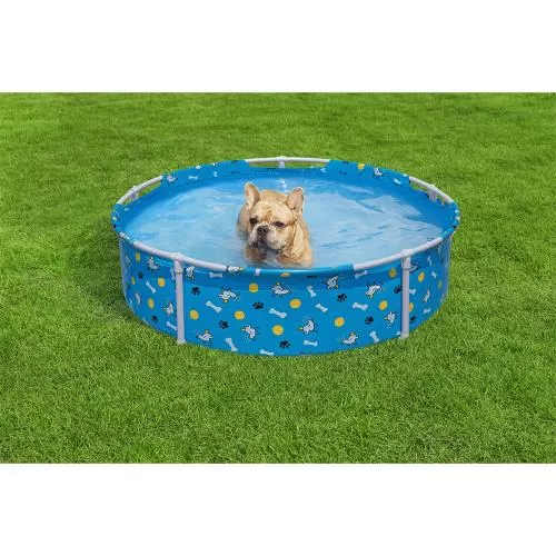 Bestway Fetchin' Fun Pet Play Pool 122 x 30,5 cm - blue