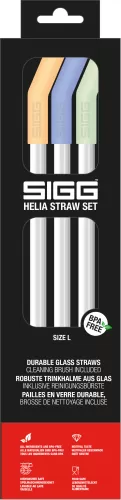 Sigg Helia Straw Set Day Large large