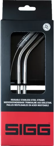 Sigg Stainless Steel Straw Set of 2