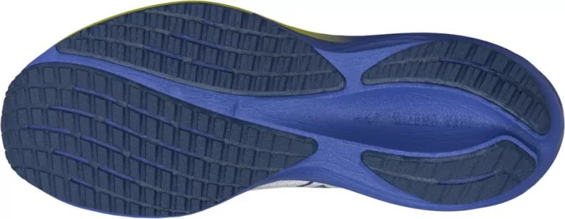 Mizuno Sport WAVE RIDER 29
