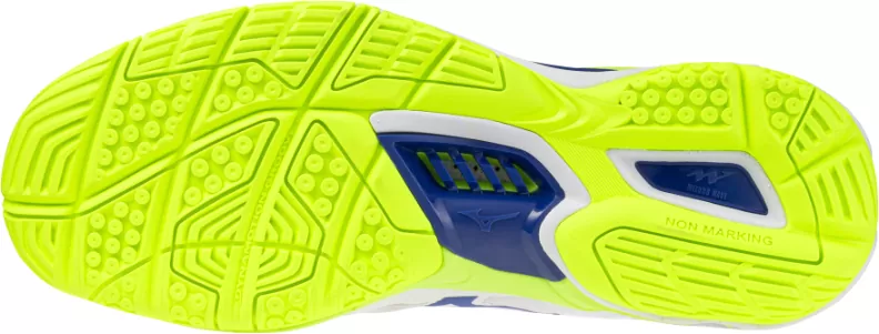 Mizuno Sport WAVE STEALTH 6