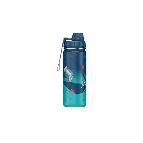 Step by Step Insulated Stainless Steel Drinking Bottle 