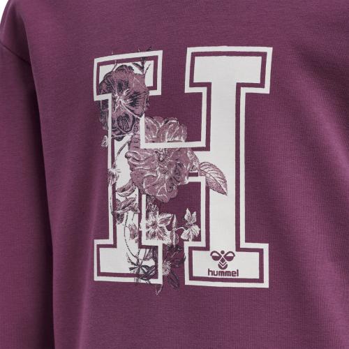 Preview: Hummel Hmlastrology Hoodie - amaranth