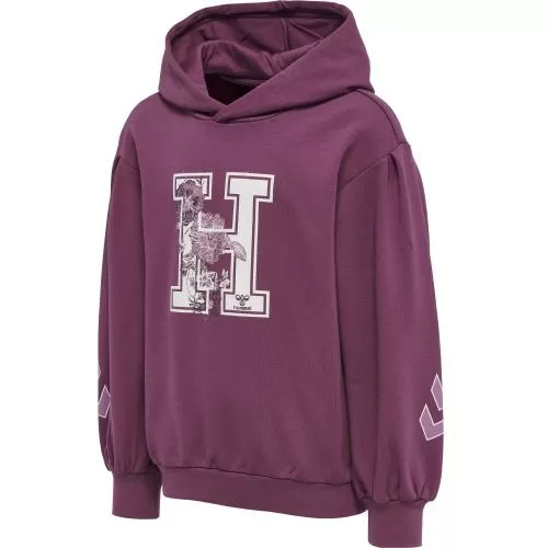 Hummel Hmlastrology Hoodie - amaranth