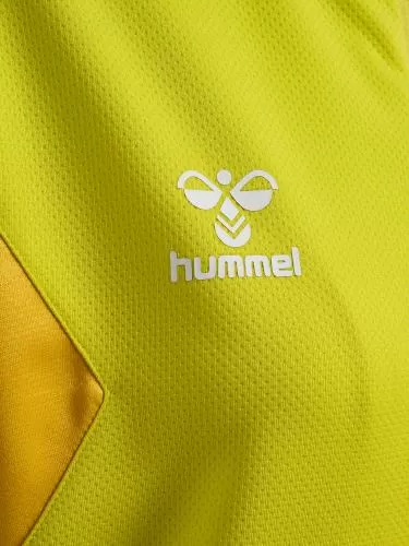 Hummel Hmlauthentic Pl Zip Hoodie Woman - blazing yellow