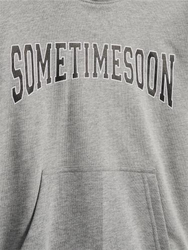 Preview: Hummel Stsocean Hoodie - light grey melange
