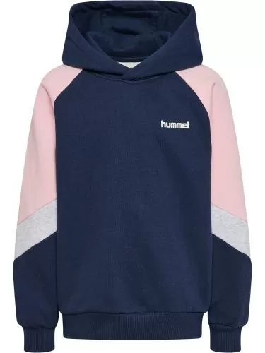 Hummel Hmljr Loose Blocked Hoodie - Dress Blue/Roseate Spoonbill