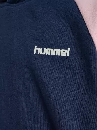 Hummel Hmljr Loose Blocked Hoodie - Dress Blue/Roseate Spoonbill