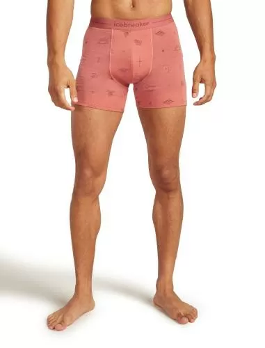 Icebreaker M Mer 150 Anatomica Boxers Explore More - plume