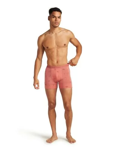 Icebreaker M Mer 150 Anatomica Boxers Explore More - plume