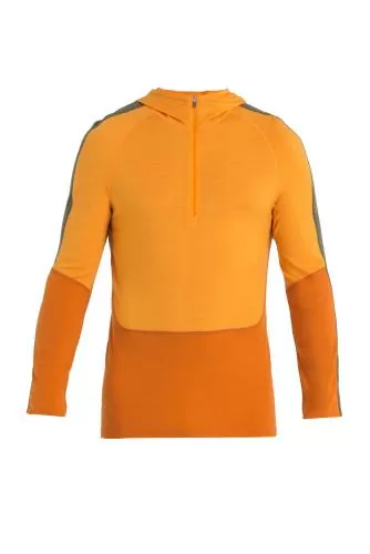 Icebreaker Men Merino 200 Sonebula LS Half Zip Hood - earth