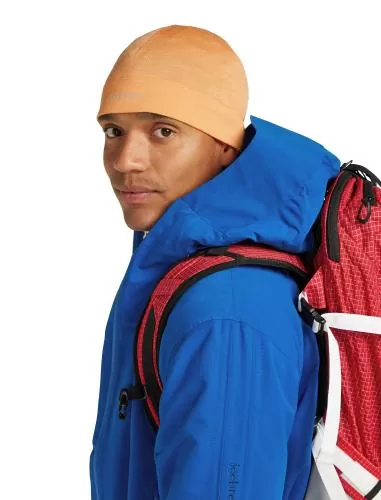 Icebreaker Unisex Merino Mer 200 Oasis Beanie - feldspar