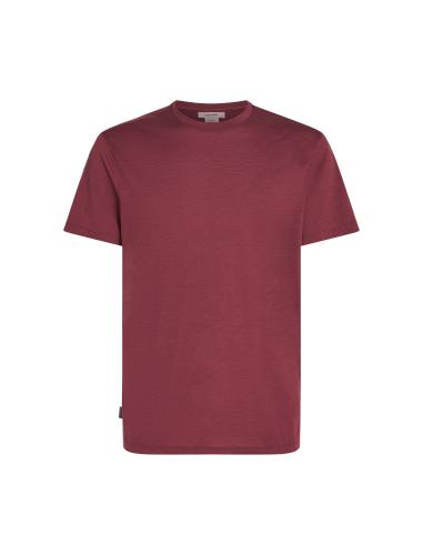 Preview: Icebreaker Men Merino Mer 150 Tech Lite III SS Tee - port