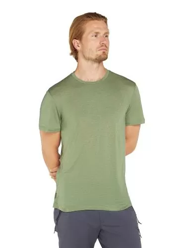 Icebreaker Men Merino Mer Core SS Tee - lichen