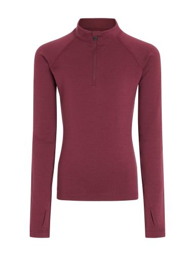 Preview: Icebreaker Kids Merino 260 Tech LS Half Zip - port