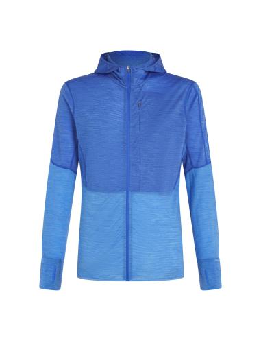 Preview: Icebreaker Men Merino Mer 200 Realfleece Descender LS Zip H - brilliant