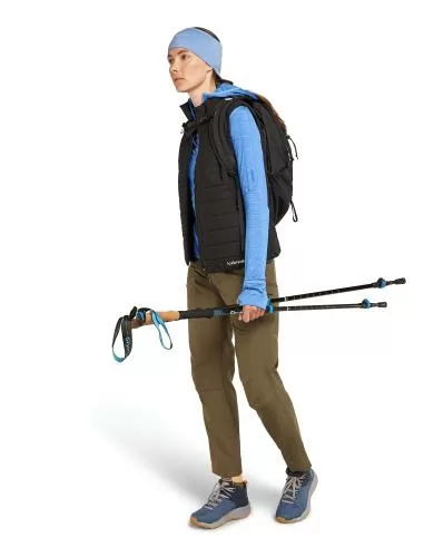 Icebreaker Women Merino Mer 200 Realfleece Descender LS Zip H - baja