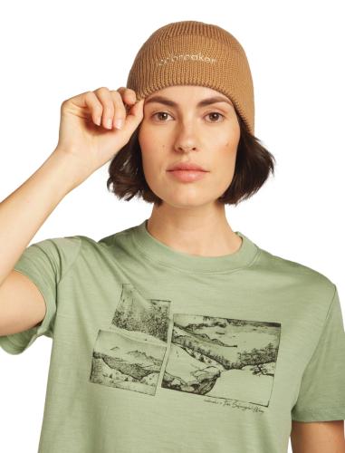 Preview: Icebreaker Unisex Merino All Day Toque Beanie - trail