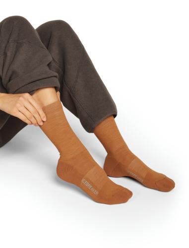 Preview: Icebreaker Women Merino Lifestyle Light Crew - trail