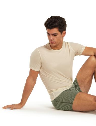 Icebreaker Men Merino 150 Anatomica Boxers - lichen