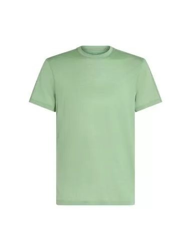 Icebreaker Men Merino Blend 125 Cool-Lite Speed SS Tee - seaglass