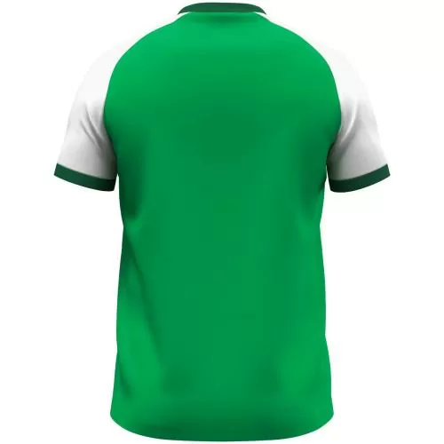 Jako Children T-Shirt Dynamic - green/white/dark green