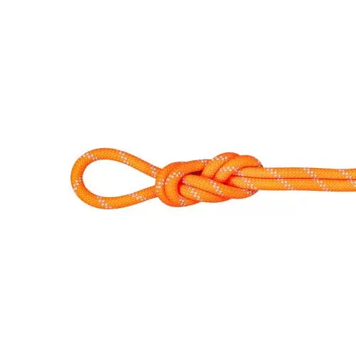 Mammut 9.5 Alpine Dry Rope - Dry Standard, safety orange-zen