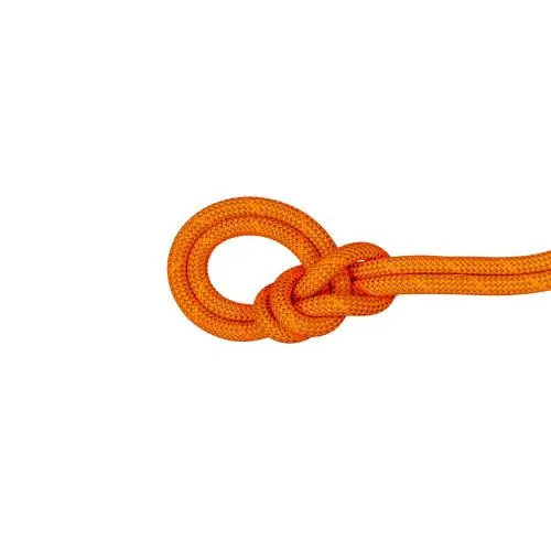 Mammut 9.8 Crag Dry Rope - Dry Standard, safety orange-boa