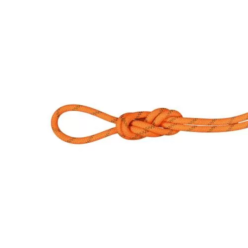 Mammut 8.0 Alpine Dry Rope - Dry Standard, safety orange-boa