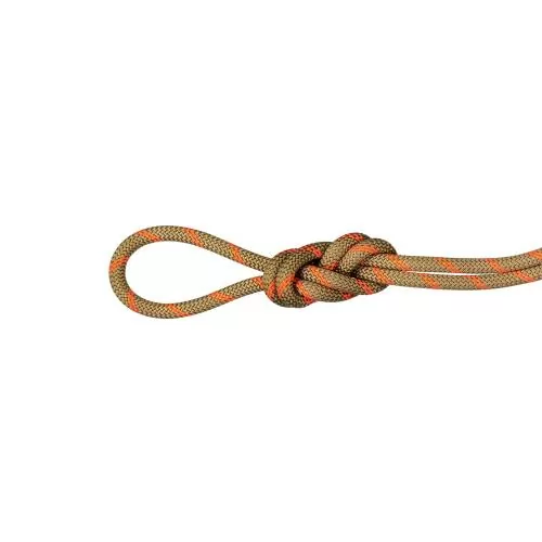 Mammut 8.0 Alpine Dry Rope - Dry Standard, boa-safety orange