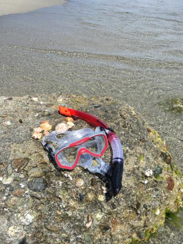 Preview: Snorkel Set FIJI (2 pieces) - Adult