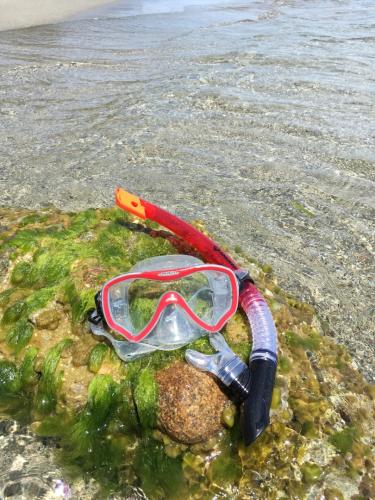 Preview: Snorkel Set FIJI (2 pieces) - Adult