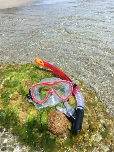 Snorkel Set FIJI (2 pieces) - Adult