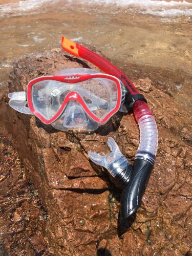 Preview: Snorkel Set FIJI (2 pieces) - Adult