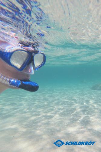 Preview: Snorkel Set PALAU (2 pieces, + mesh bag) - Adult