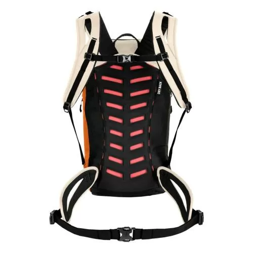 Salewa Puez 23L W Bp - multi