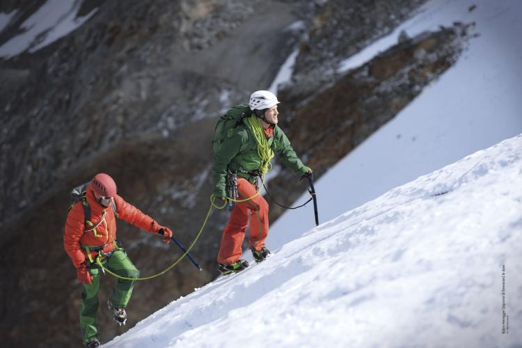Preview: Salewa Quick Screw - green