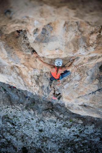 Preview: Salewa Belay Twist Lock Karabiner - magnet