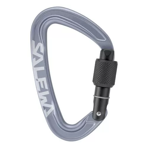 Salewa Ortles Screw Carabiner - grey