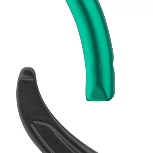 Salewa Ortles Bent Carabiner - black/irish green