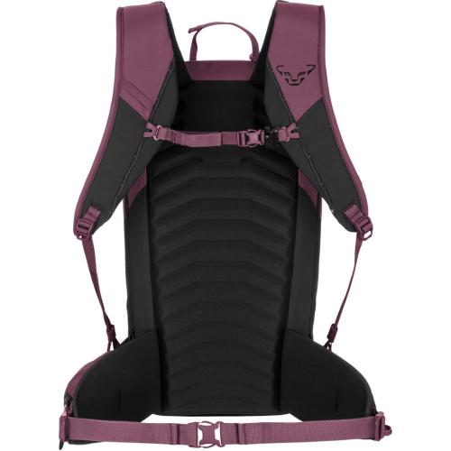 Preview: Dynafit Ridge 24 Backpack W - amaranth/black out