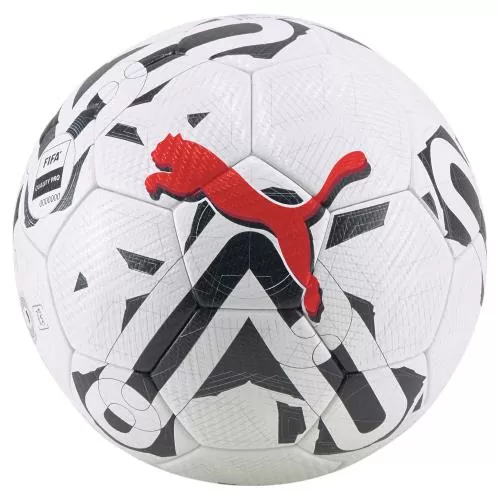 Puma Orbita 2 TB (FIFA Quality Pro) - puma white
