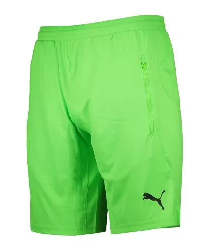Puma Referee Shorts - Green Gecko