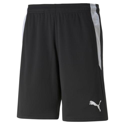 Preview: Puma teamLIGA Referee Shorts - puma black