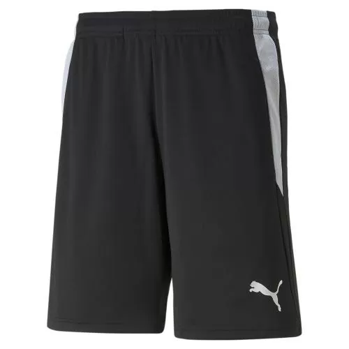 Puma teamLIGA Referee Shorts - puma black