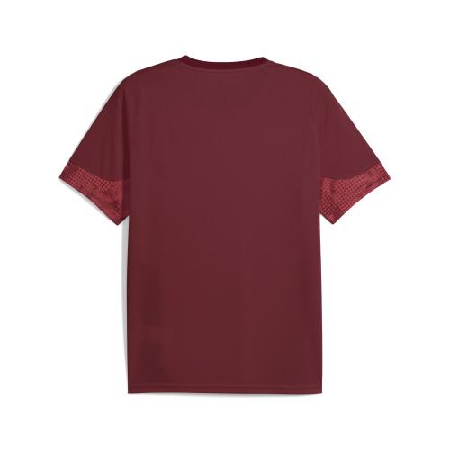 Preview: Puma GSK Training Jersey - team regal red