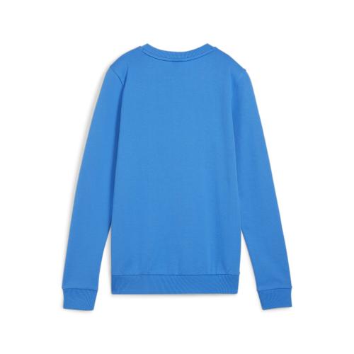 Preview: Puma teamGOAL Casuals Crew Neck Sweat Wmn - ignite blue