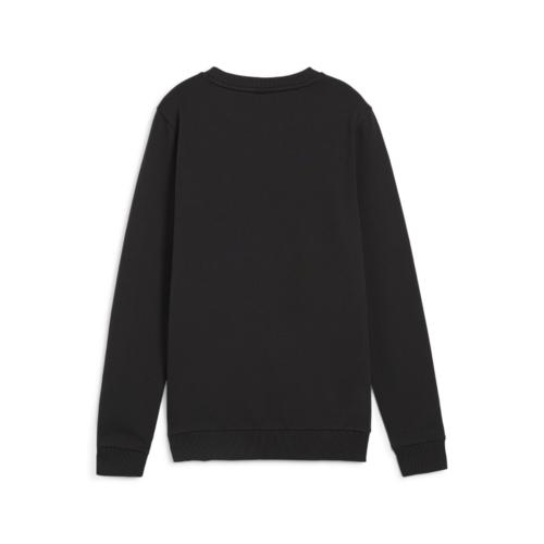 Preview: Puma teamGOAL Casuals Crew Neck Sweat Wmn - puma black