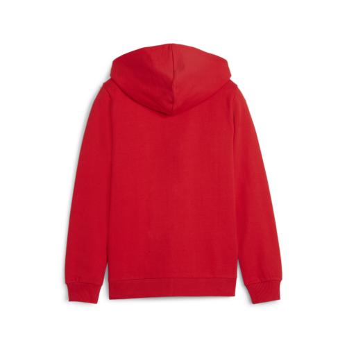 Preview: Puma teamGOAL Casuals Hooded Jacket Jr - puma red